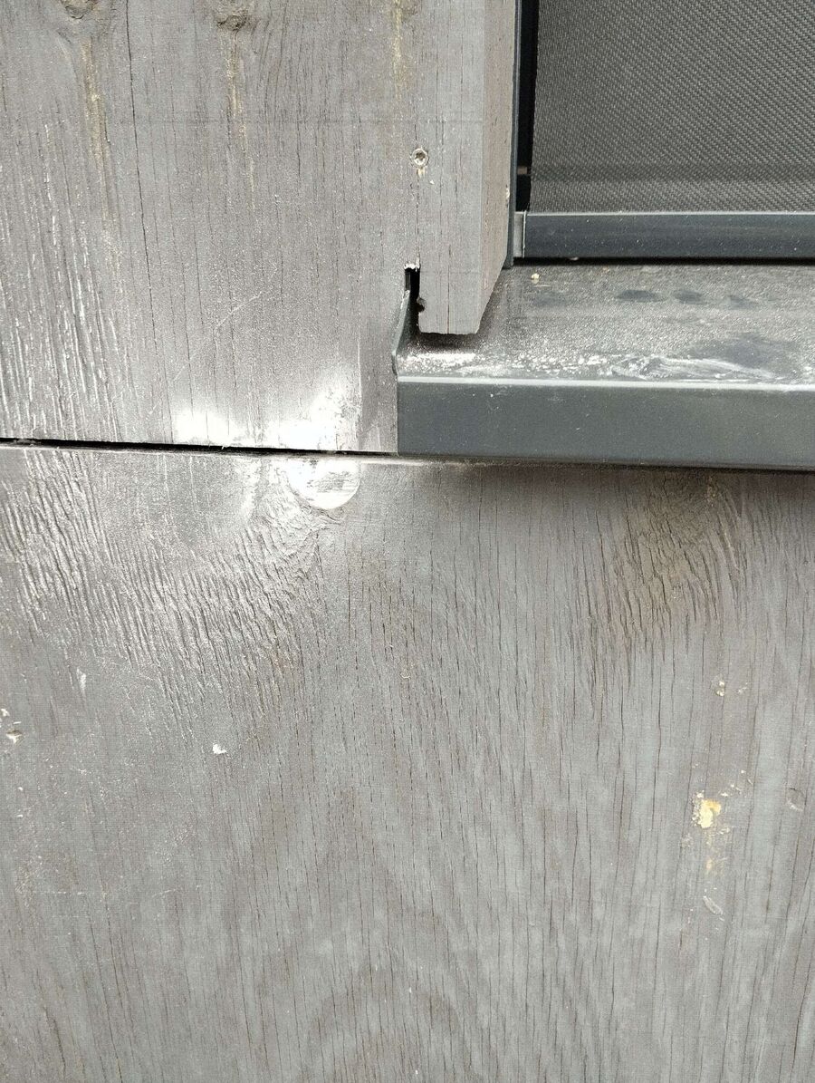 Bee nest at the house remove