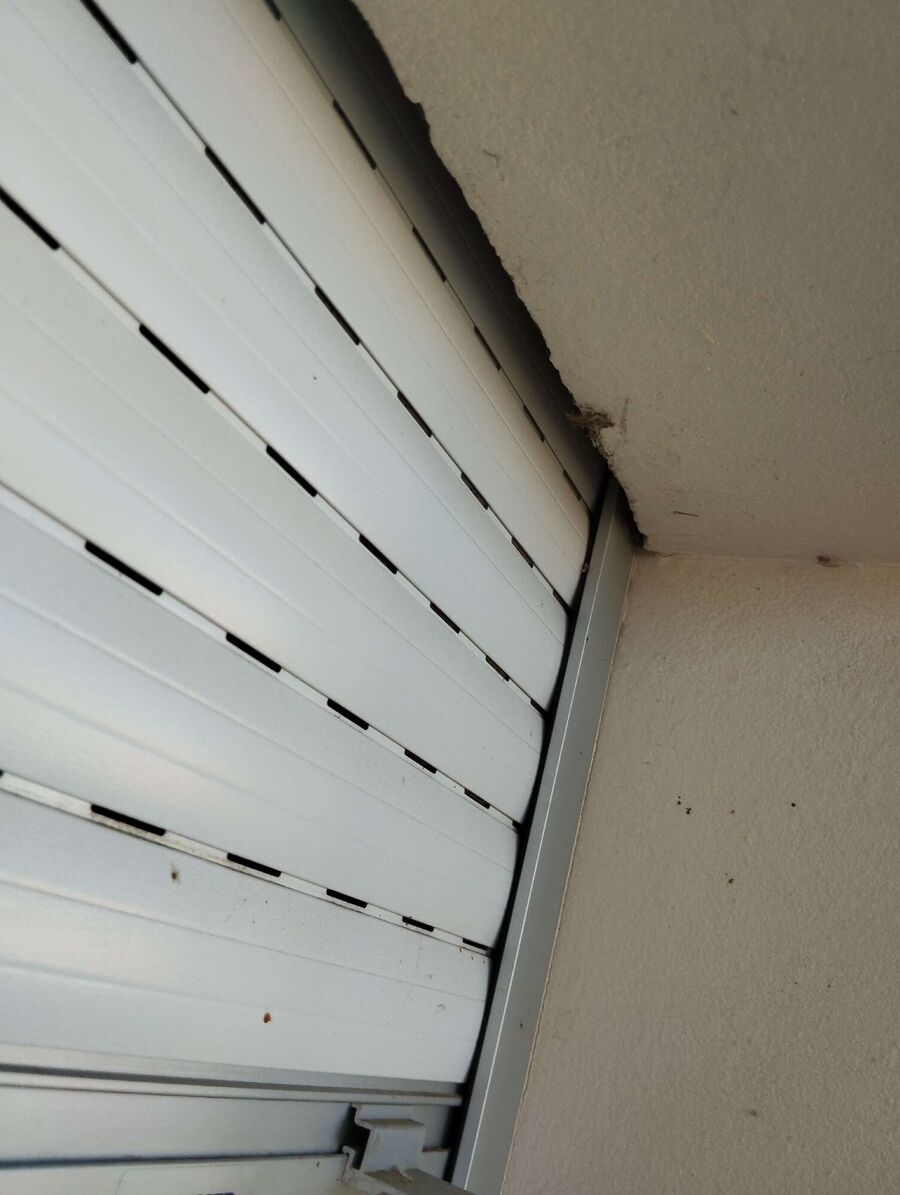 Bee nest at the house remove