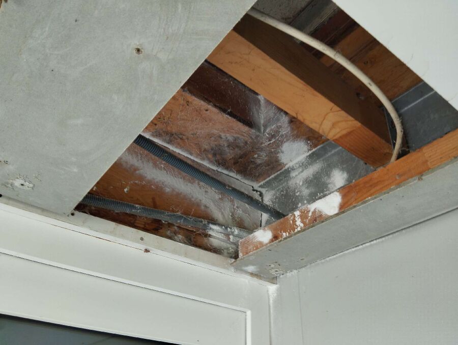 Bee nest at the house remove