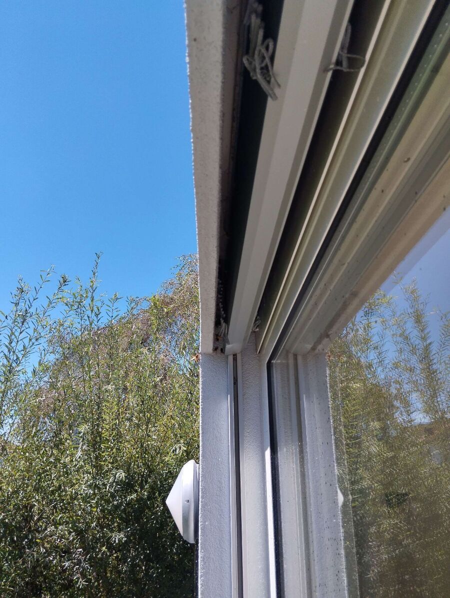 Bee nest at the house remove