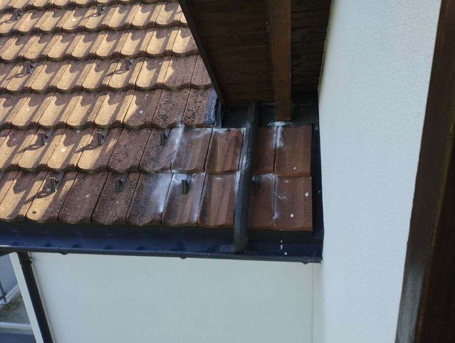 Bee nest at the house remove