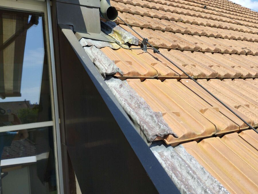 Bee nest at the house remove