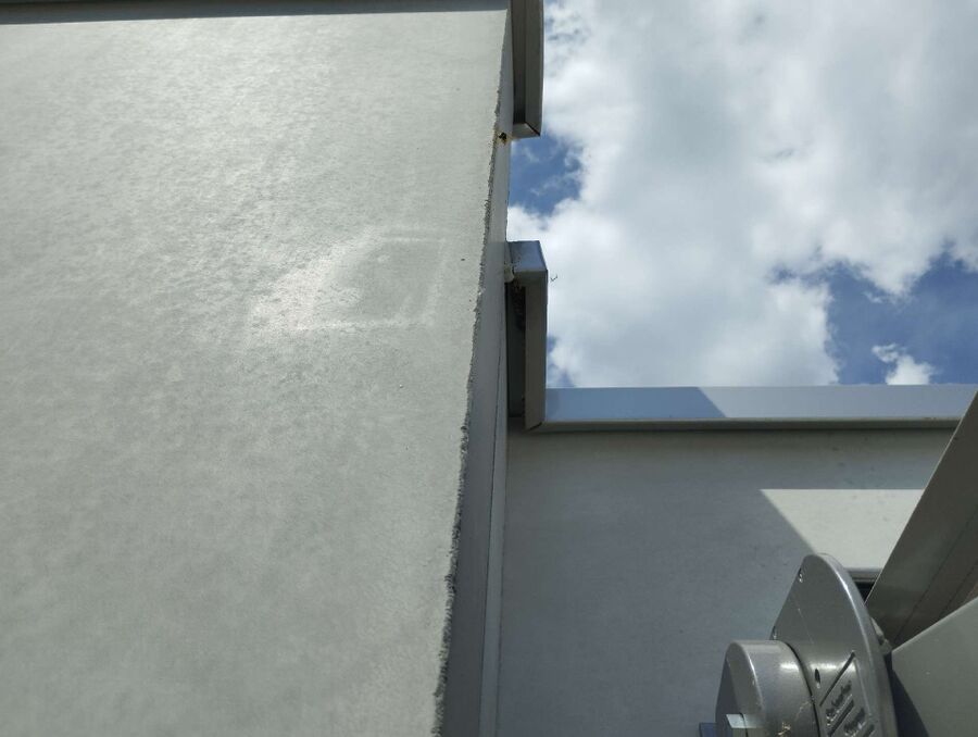 Relocate bees & remove bee nest