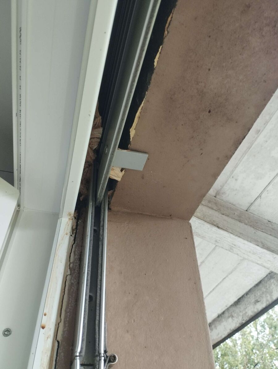 Relocate bees & remove bee nest