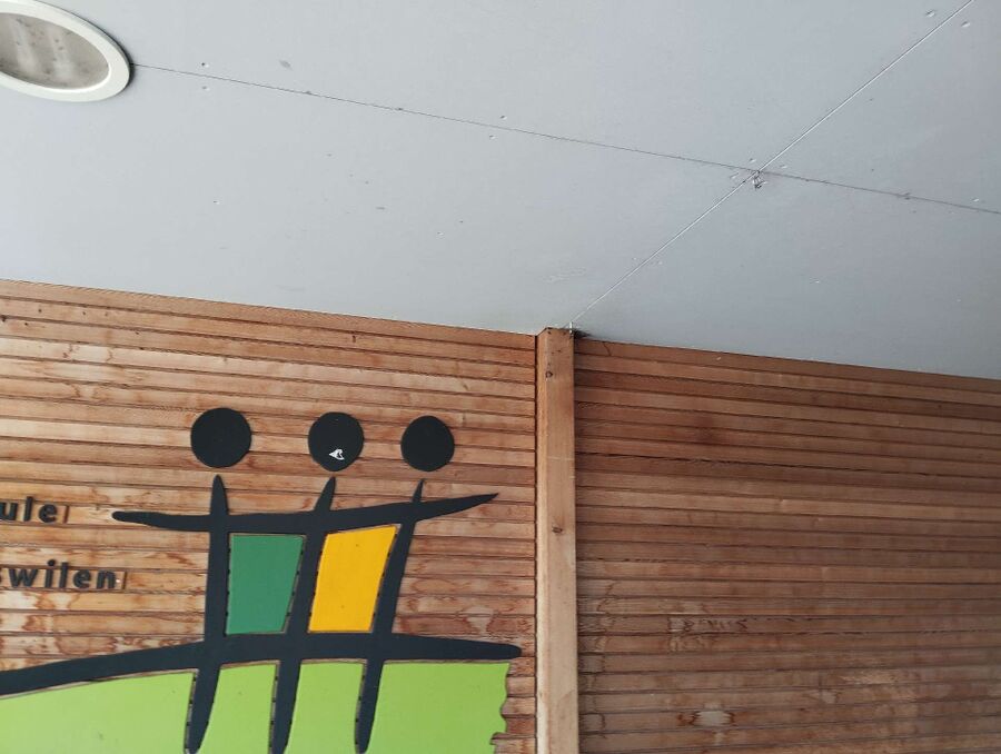 Bee nest at the house remove