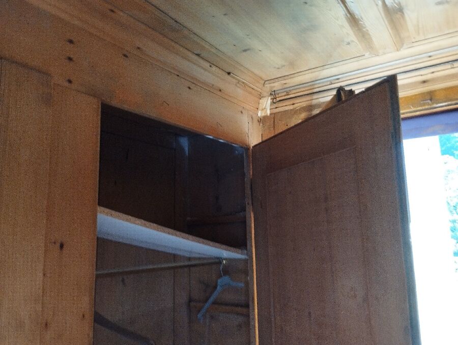 Relocate bees & remove bee nest