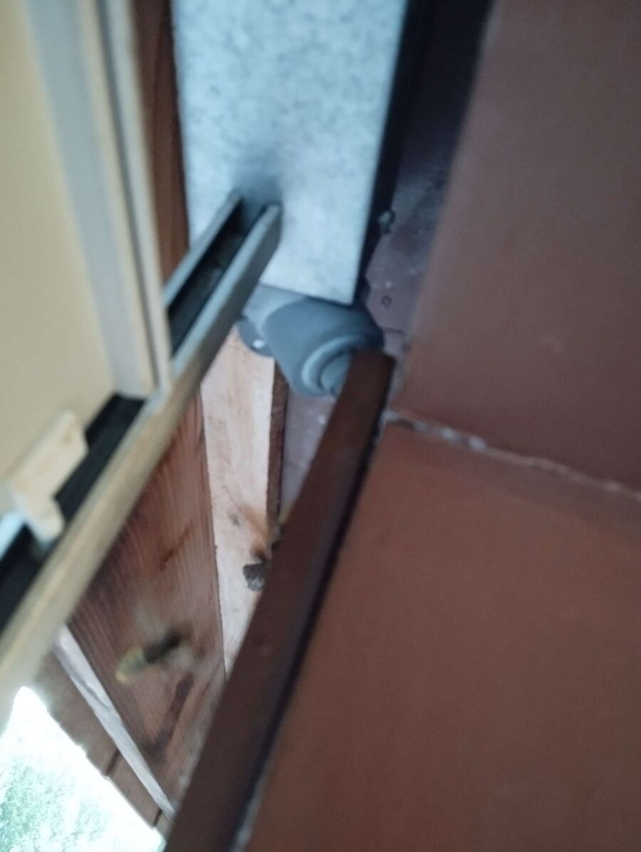 Bee nest at the house remove