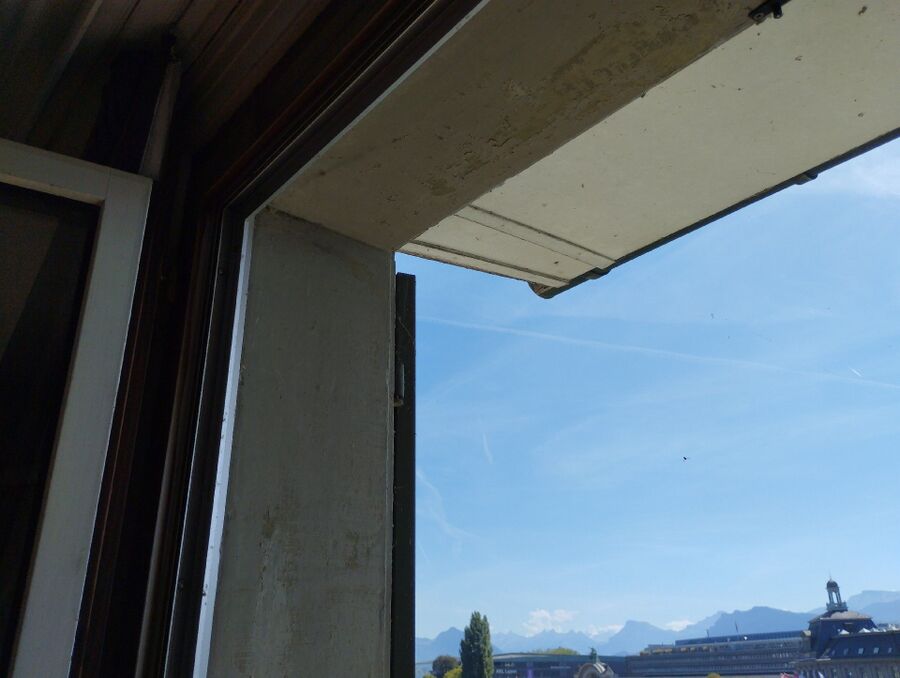 Bee nest at the house remove