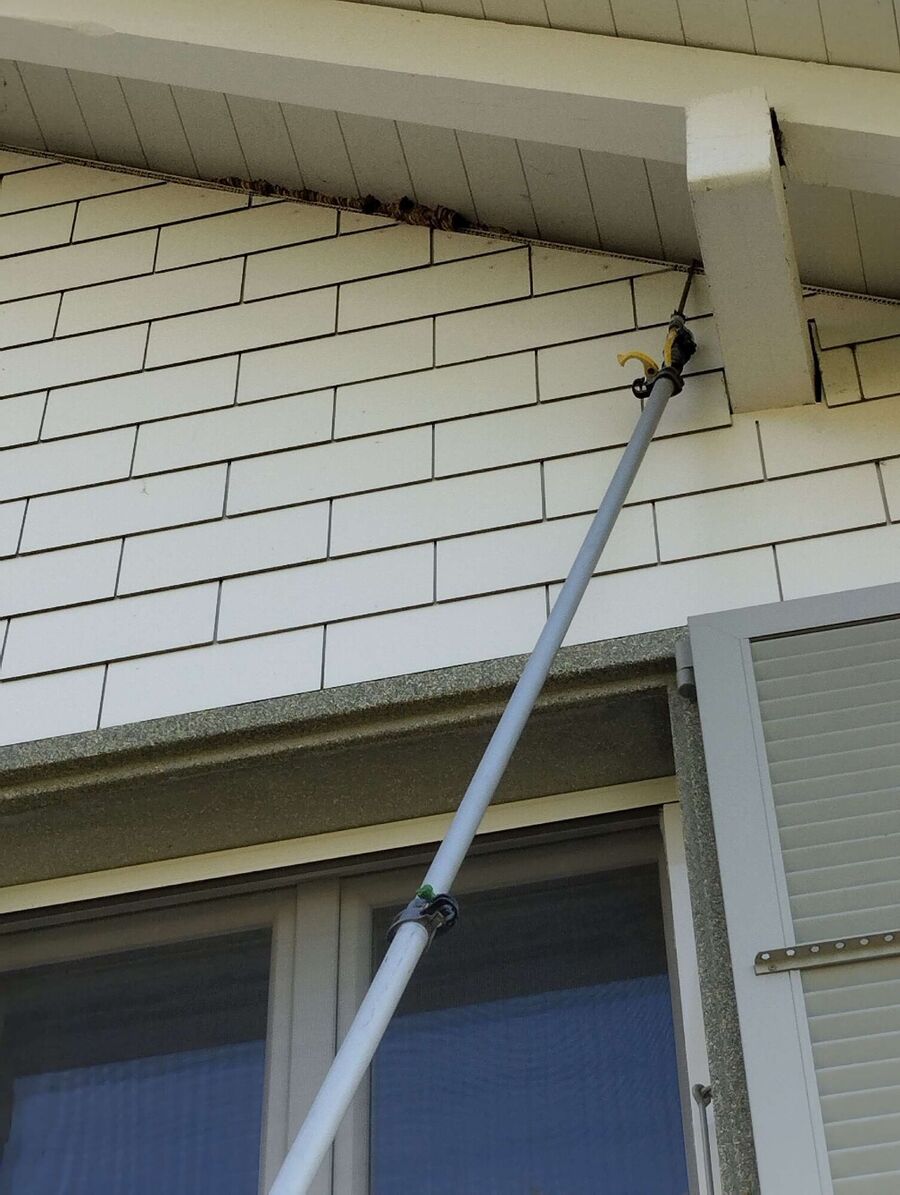 Bee nest at the house remove