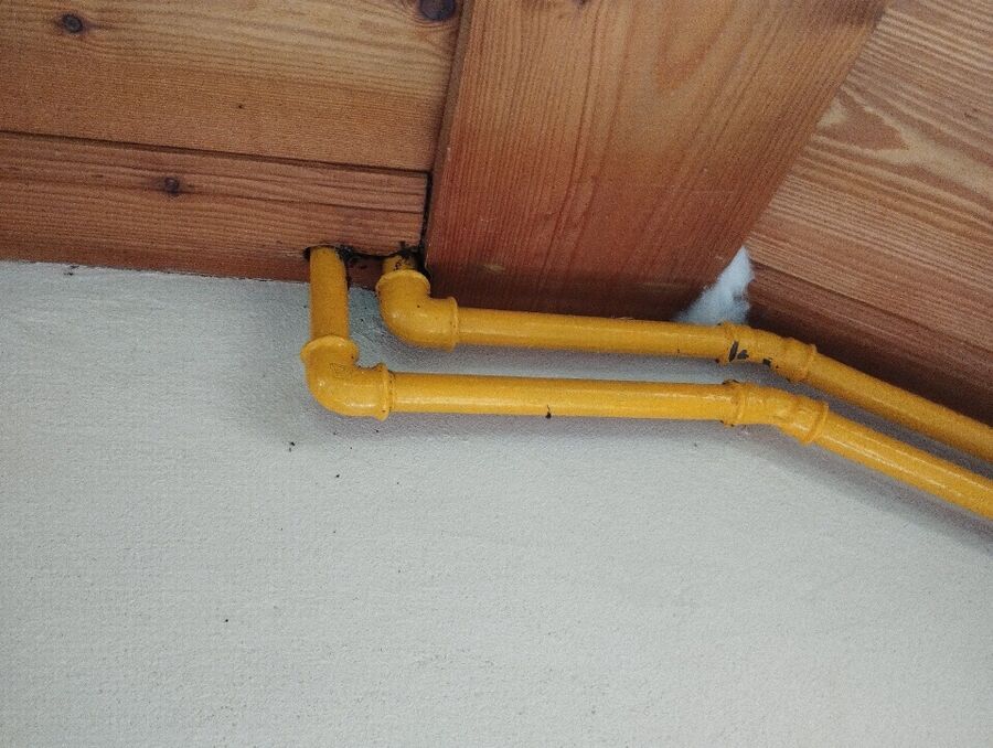 Bee nest at the house remove