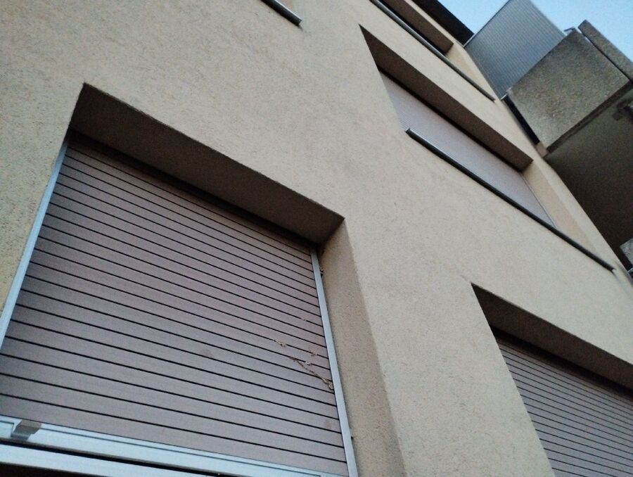 Relocate bees & remove bee nest