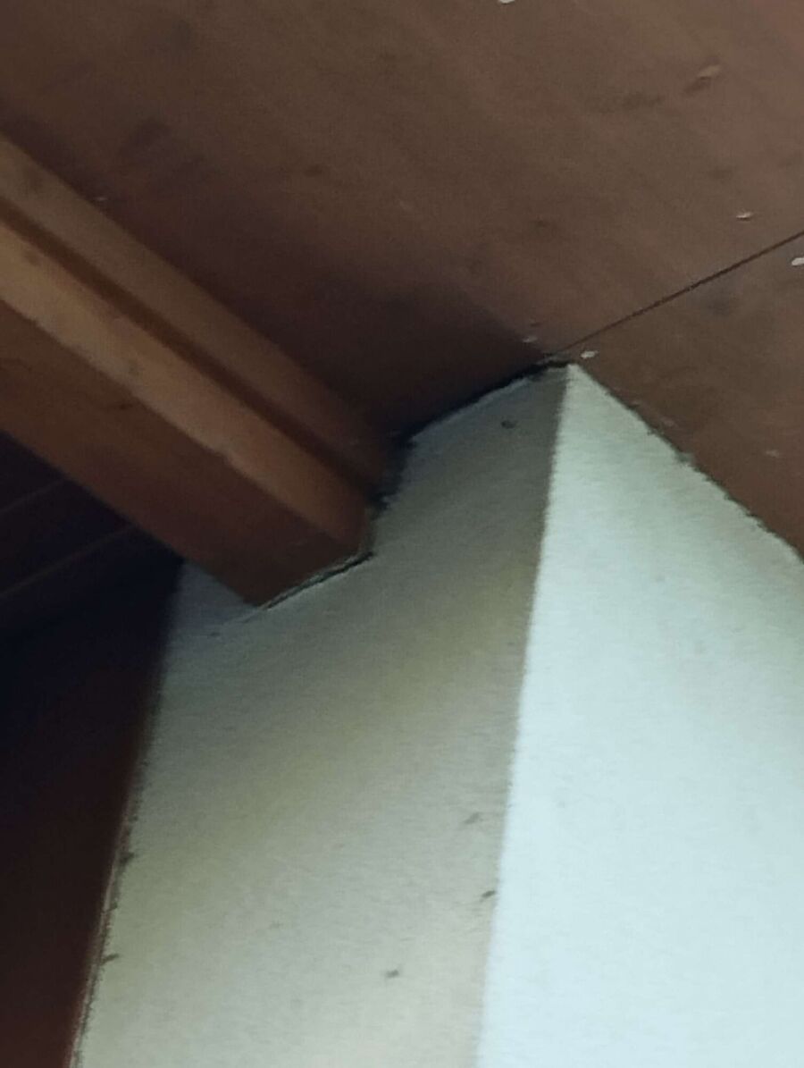Remove bee nest