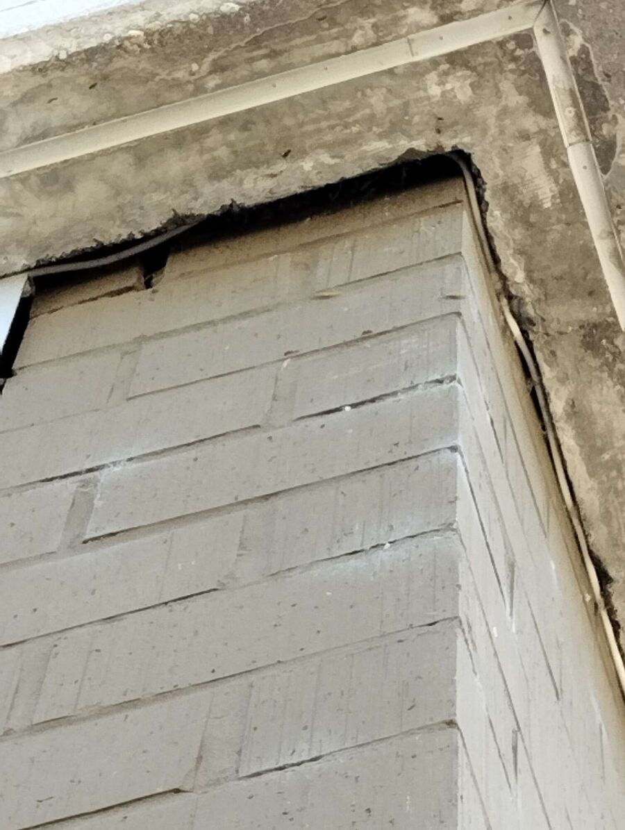 Bee nest at the house remove