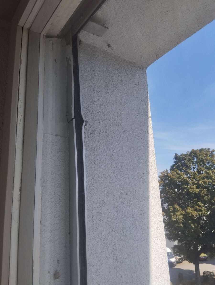 Bee nest at the house remove