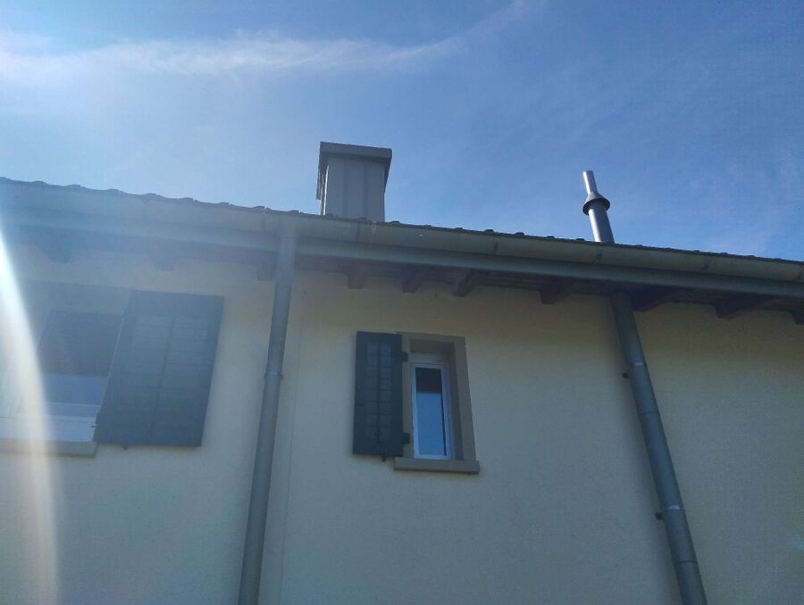 Relocate bees & remove bee nest