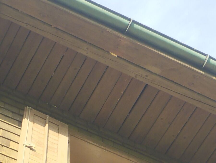 Bee nest at the house remove