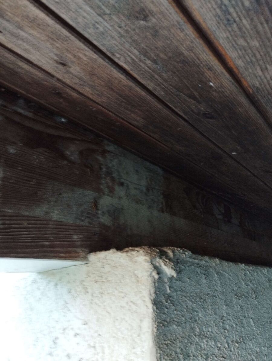 Bee nest at the house remove