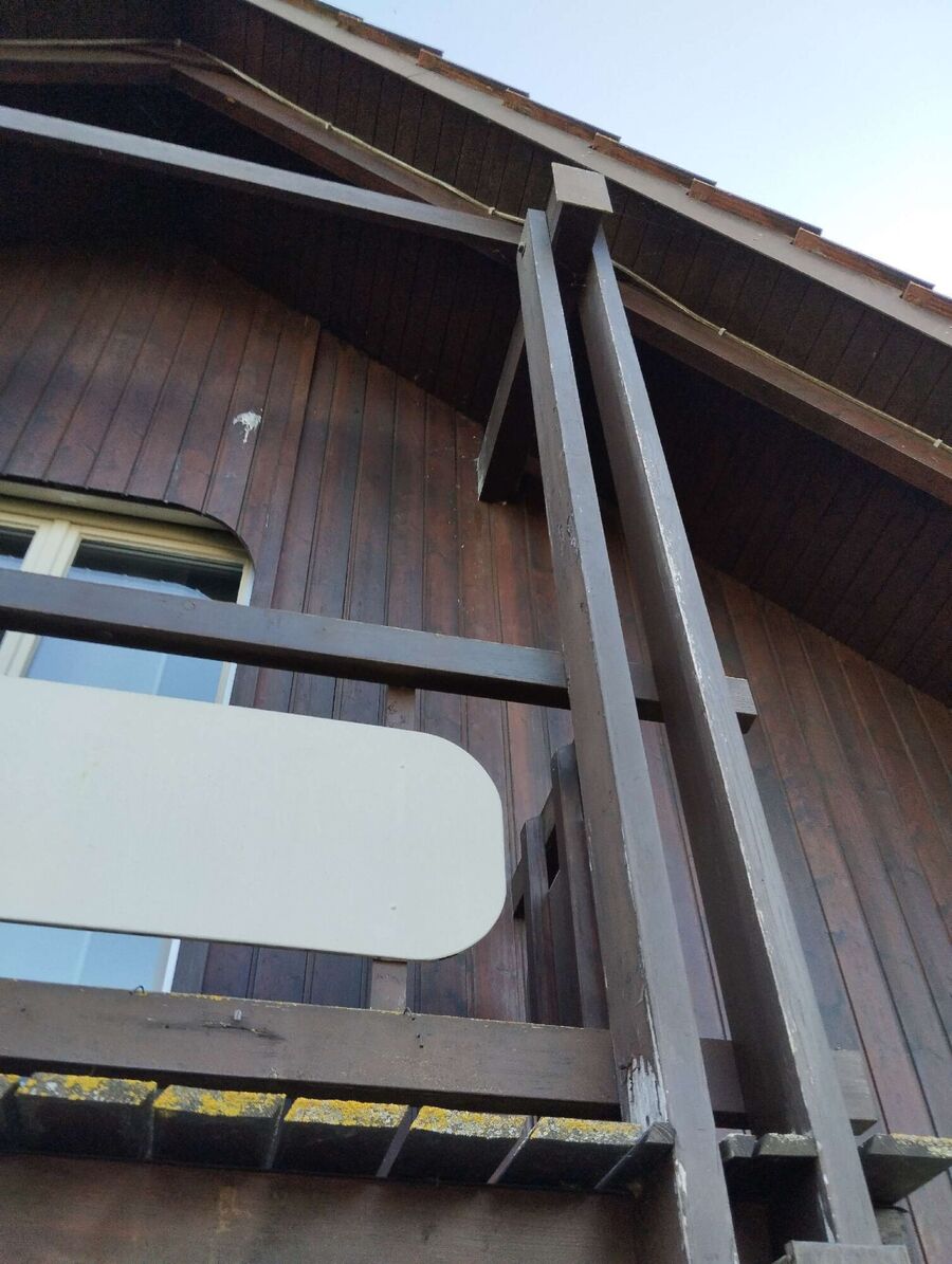 Bee nest at the house remove