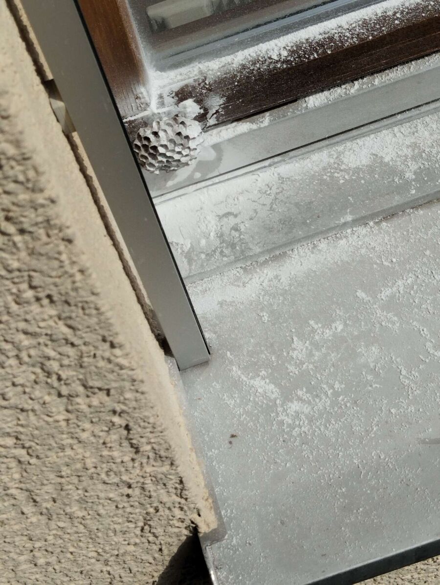 Bee nest at the house remove