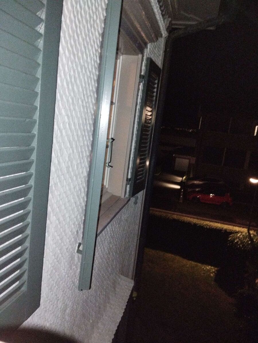 Bee nest at the house remove