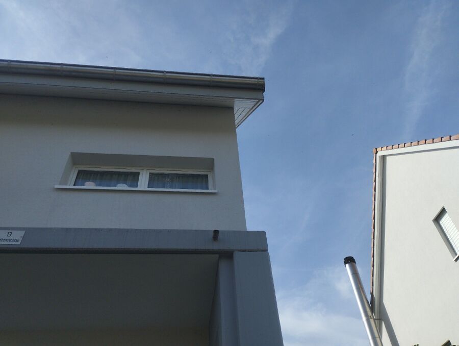 Bee nest at the house remove