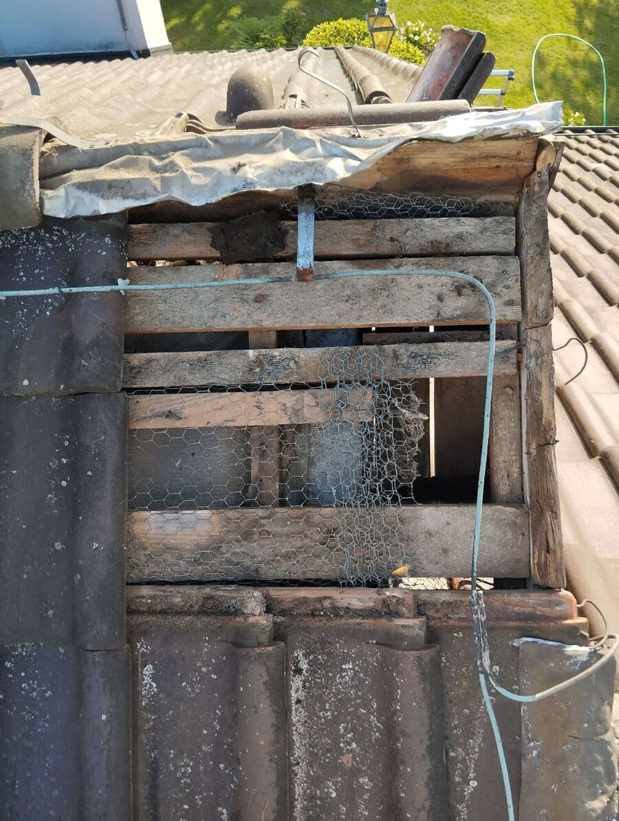 Relocate bees & remove bee nest