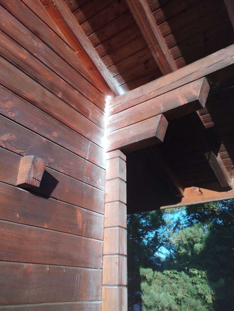 Bee nest at the house remove