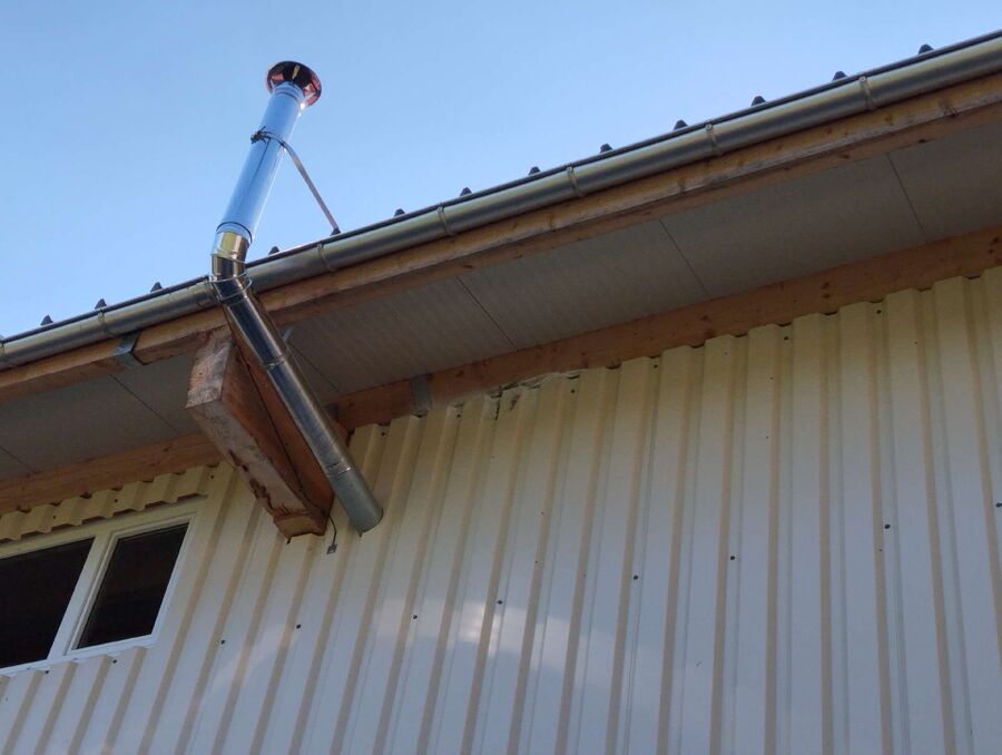 Bee nest at the house remove