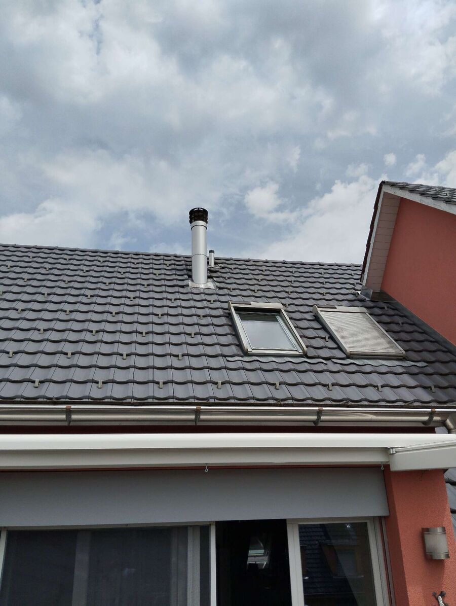 Bee nest at the house remove