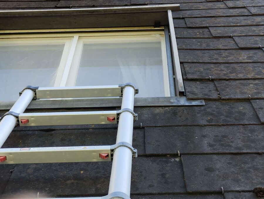 Bee nest at the house remove