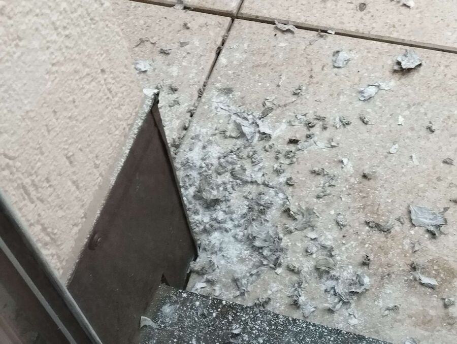 Bee nest at the house remove