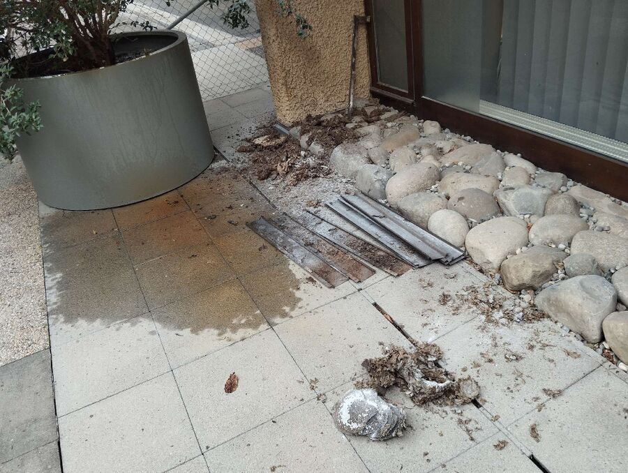 Bee nest at the house remove