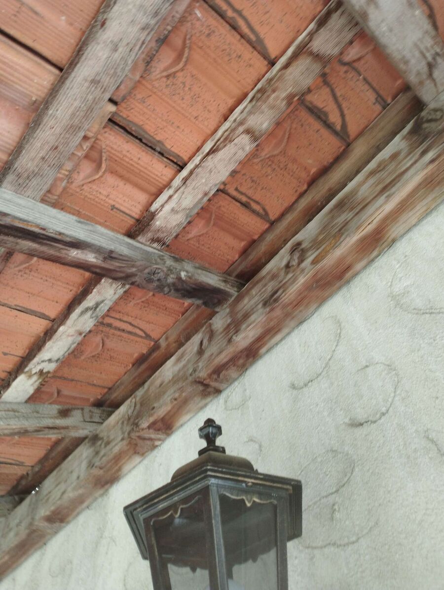 Bee nest at the house remove