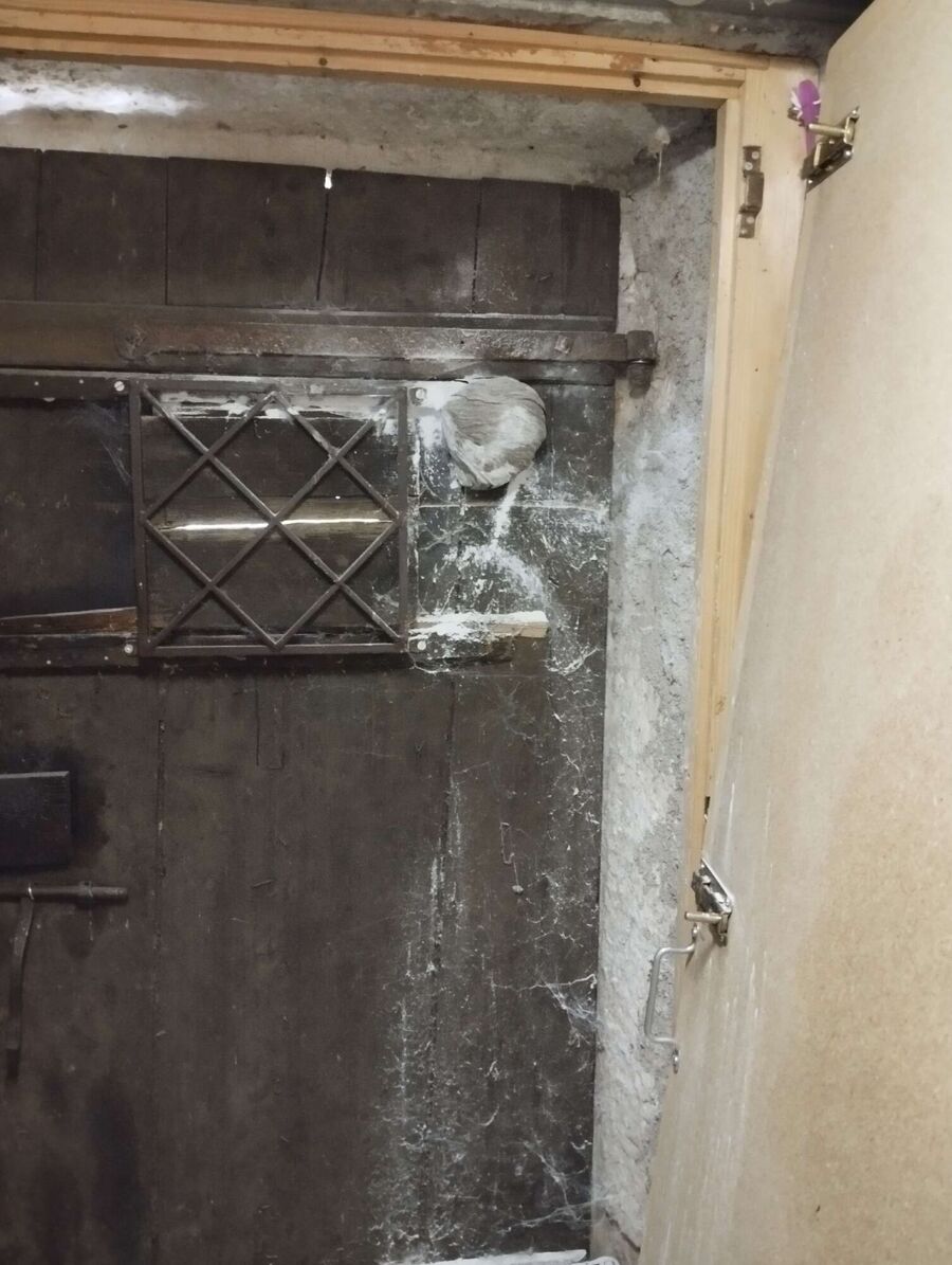 Bee nest at the house remove