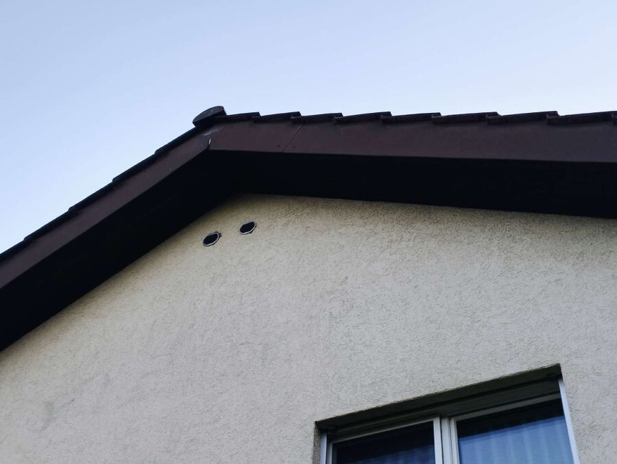 Bee nest at the house remove