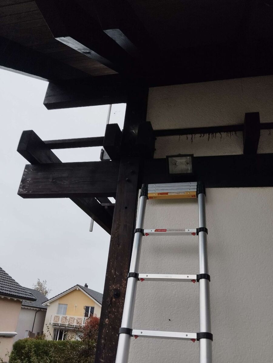 Bee nest at the house remove