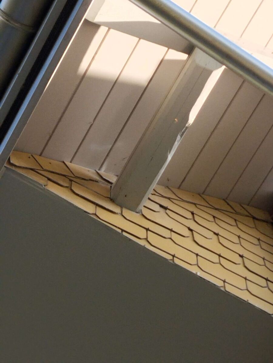 Bee nest at the house remove