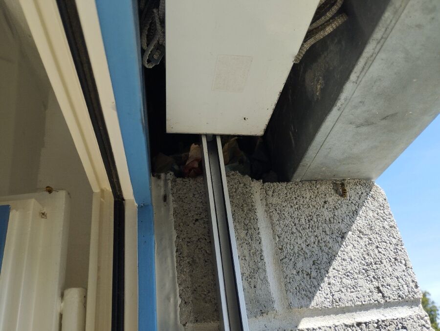 Bee nest at the house remove