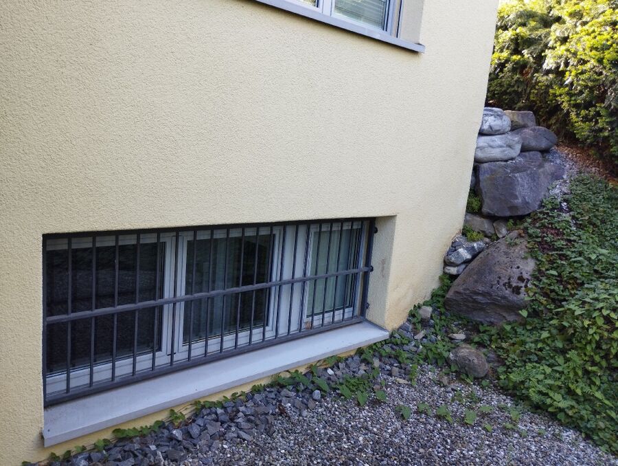 Relocate bees & remove bee nest