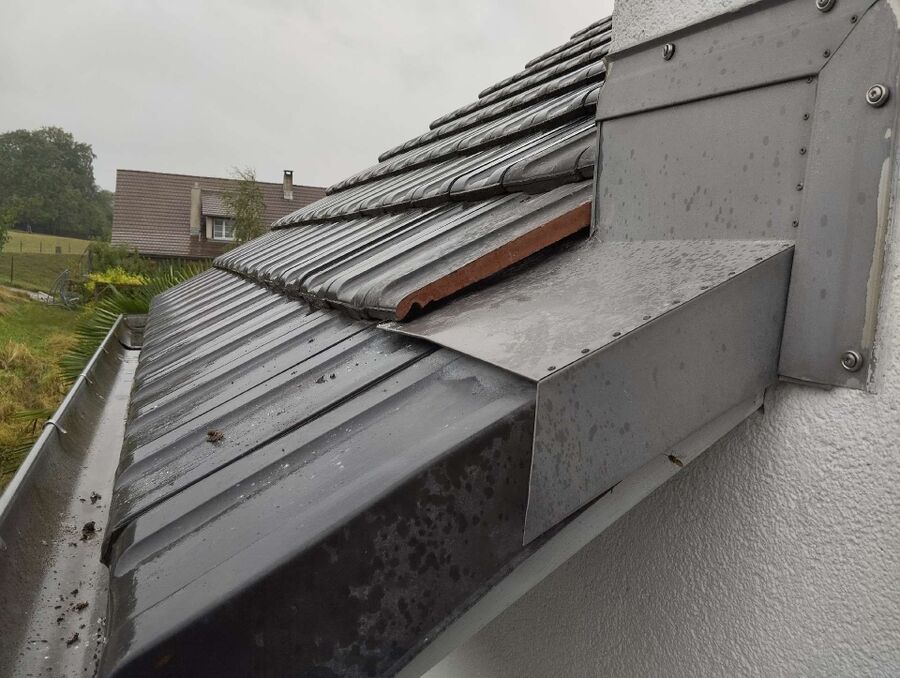 Bee nest at the house remove