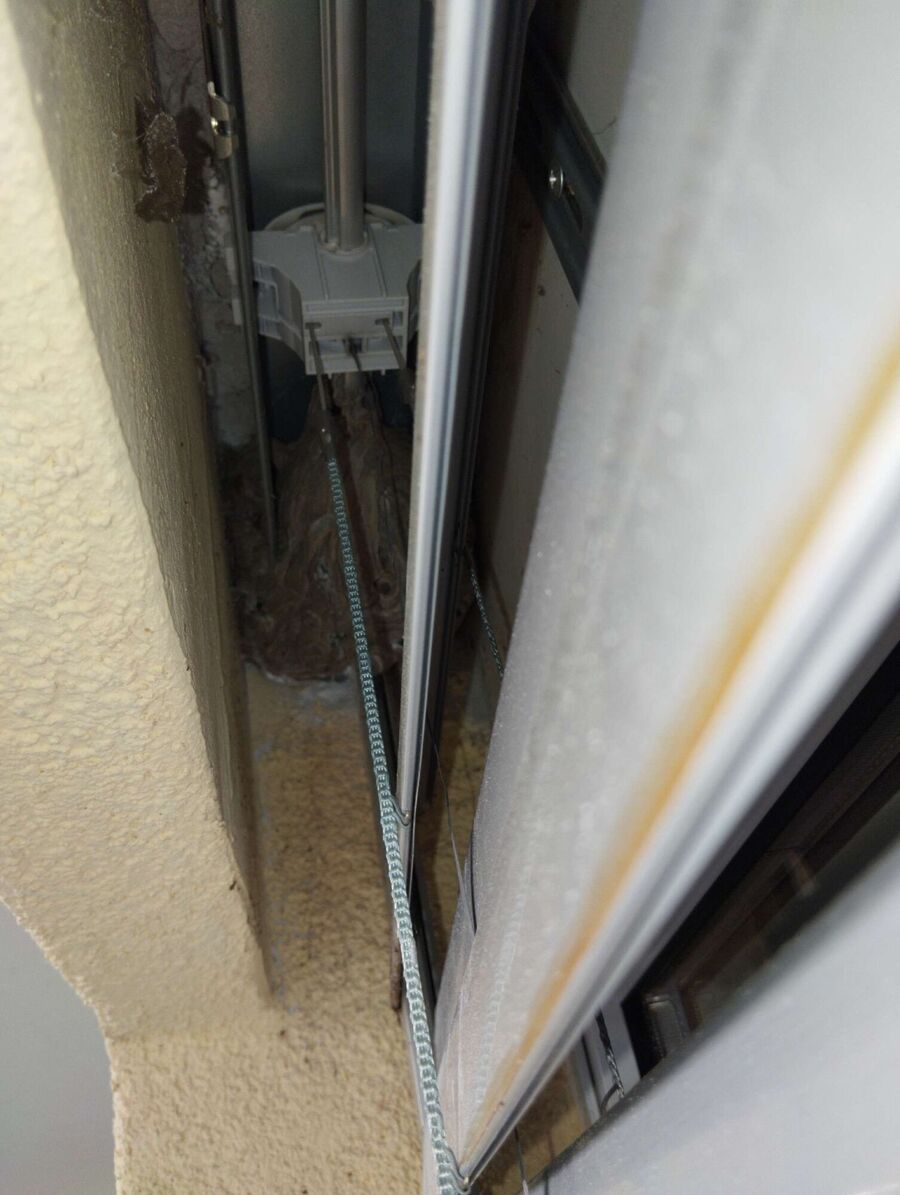 Relocate bees & remove bee nest