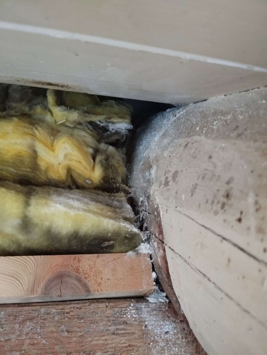 Bee nest at the house remove