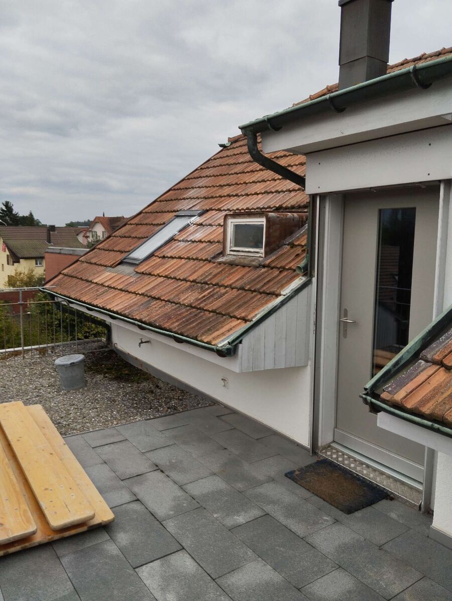 Bee nest at the house remove