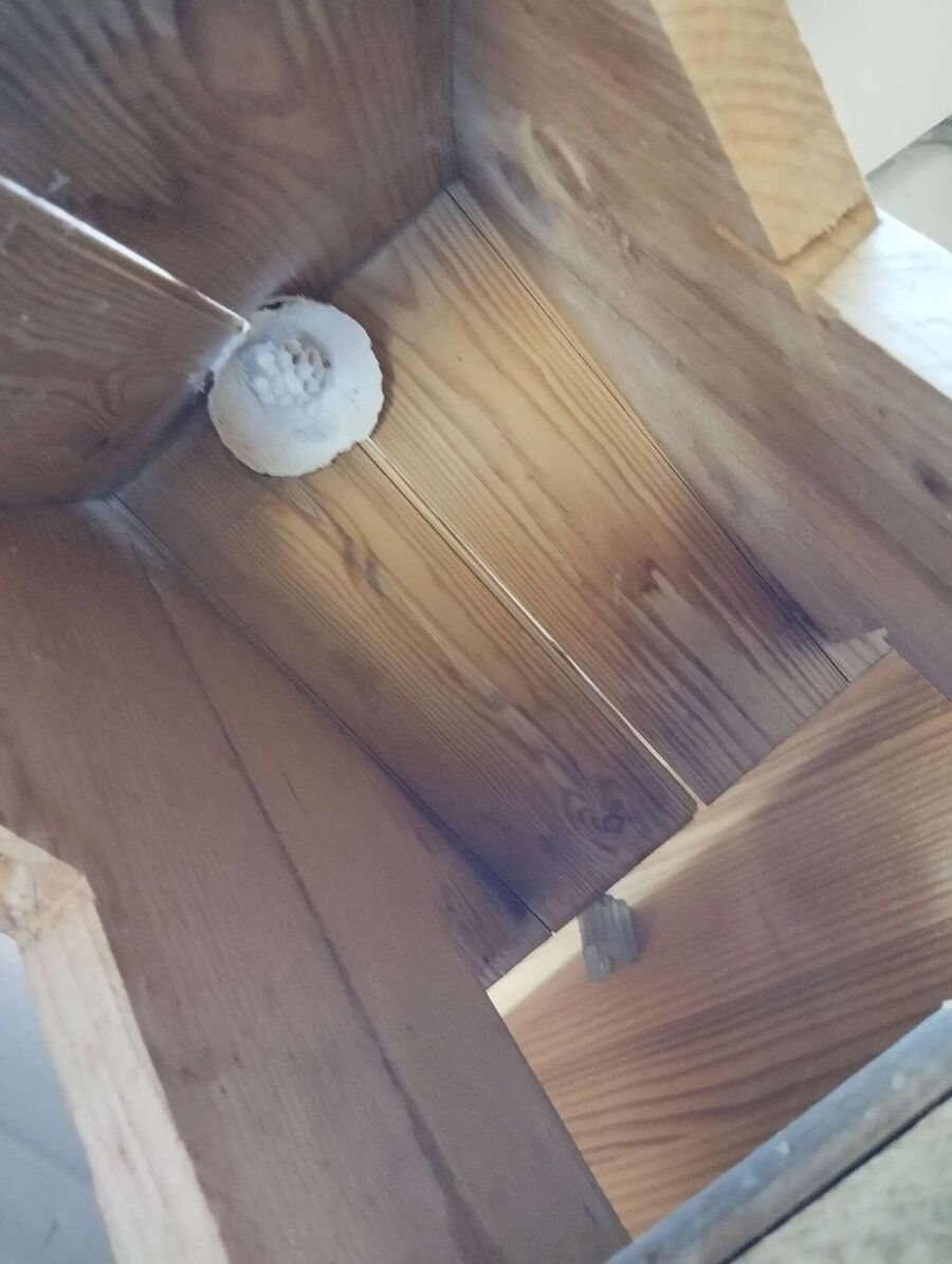 Bee nest at the house remove