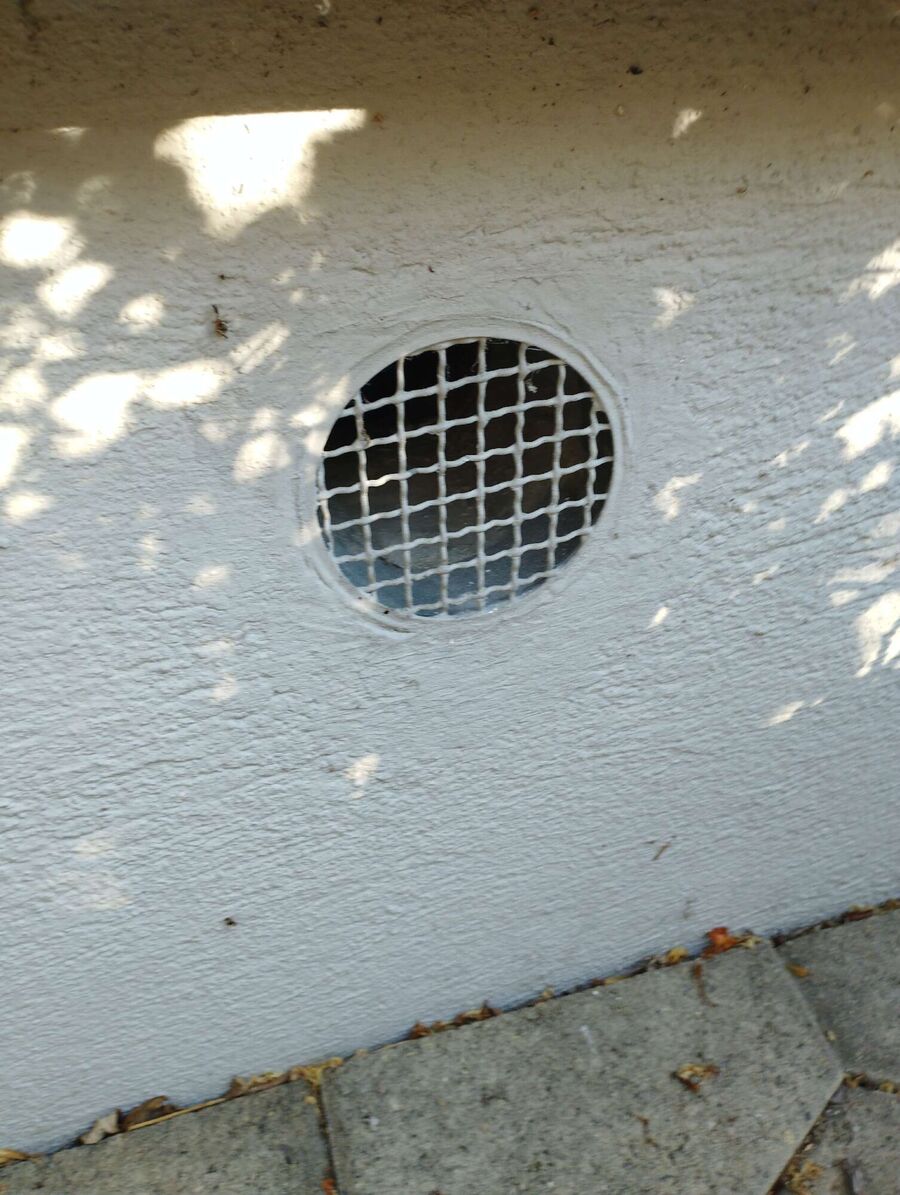 Bee nest at the house remove