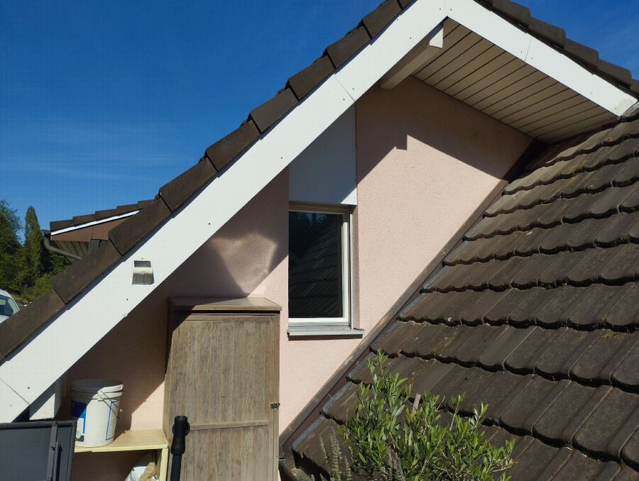 Bee nest at the house remove