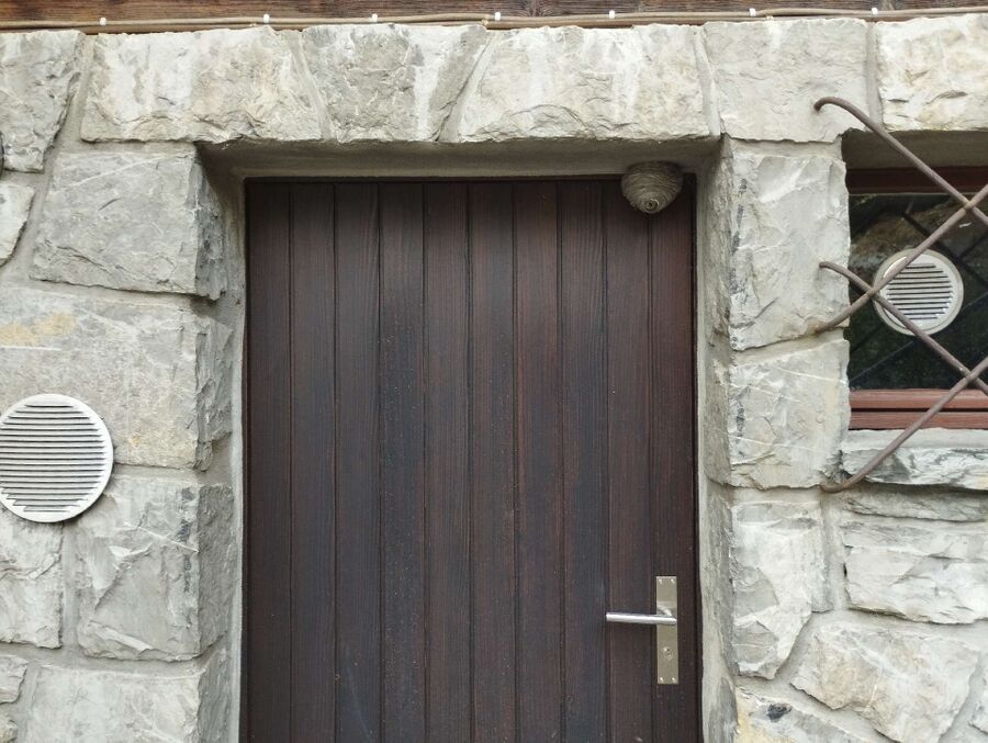 Relocate bees & remove bee nest