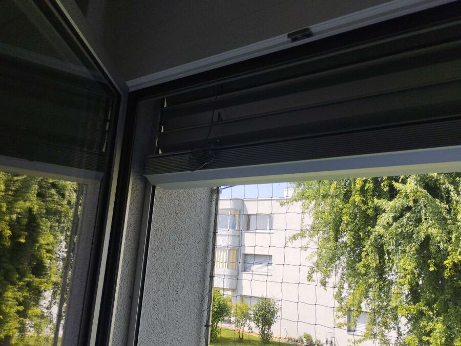 Relocate bees & remove bee nest