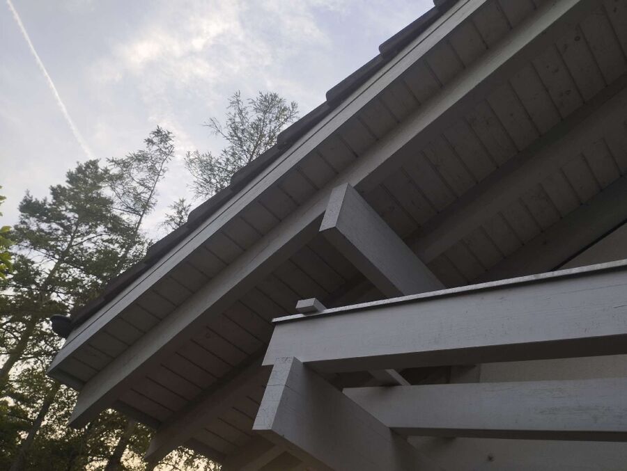 Bee nest at the house remove