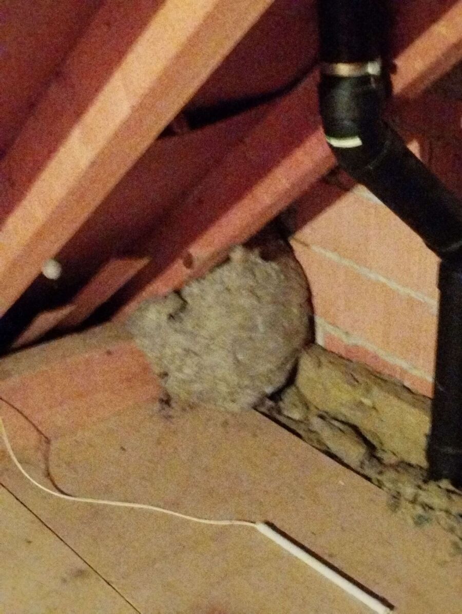 Bee nest at the house remove